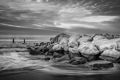 a black and white still of cape henlopen state park 