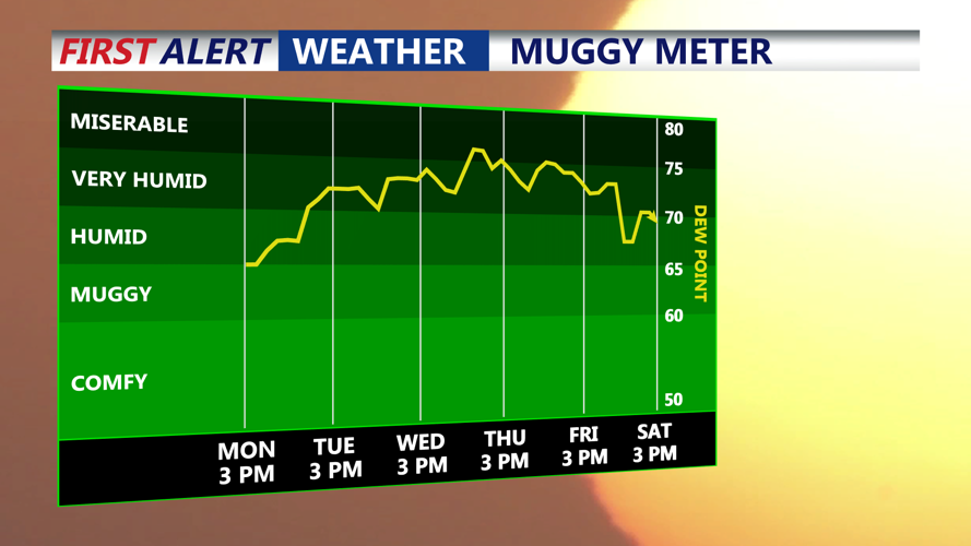 Muggy Meter