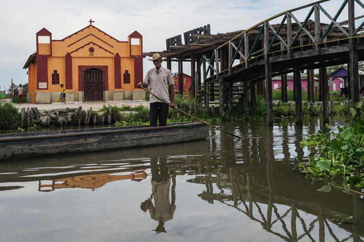 Climate Colombia Invasive Plants
