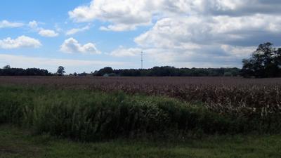 Sports Complex Proposed Land