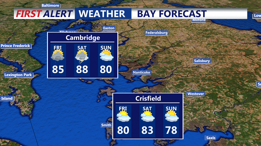 BAY FORECAST