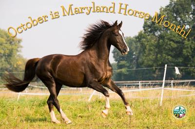 Maryland Horse Month October 2023 - 1