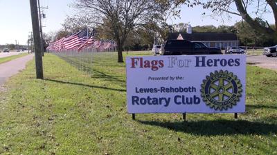 Flags Fly in Lewes to Say Thank You to Military and Frontline Heroes