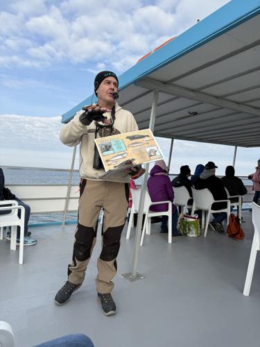 Cape Water Tours advertises seal watching with the MERR institute.