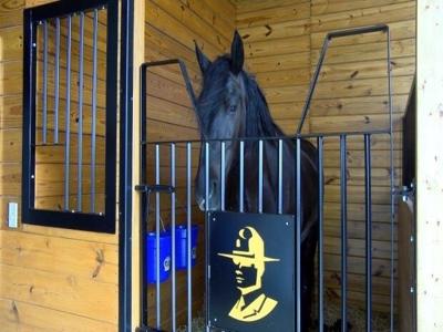 Delaware State Police Mounted Patrol Unit