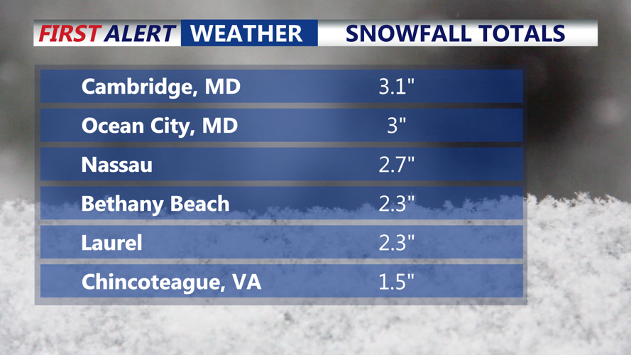 SNOWFALL TOTALS 2