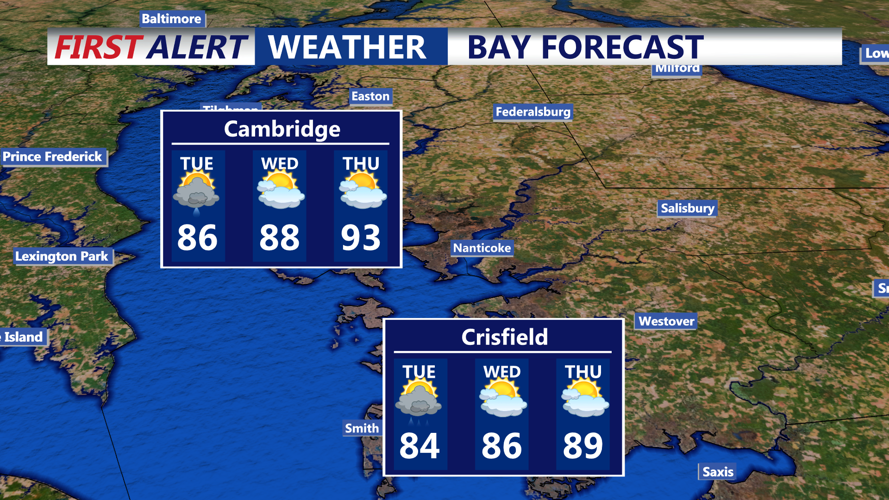 BAY FORECAST
