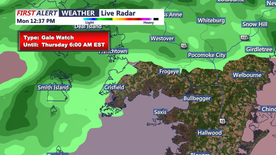 GALE WIND WATCH - CRISFIELD