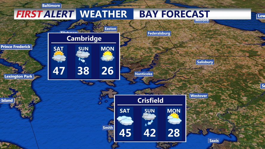 BAY FORECAST