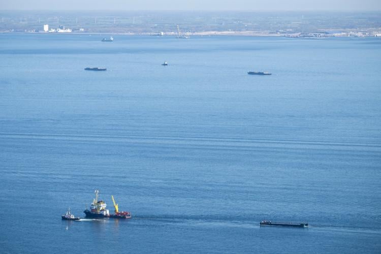 Germany Whale Rescue