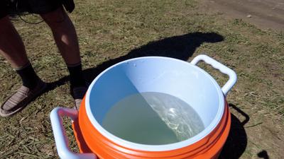 City of Dover Experiencing Issues with Brown Water as Firefly Kicks Off