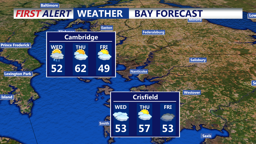 BAY FORECAST