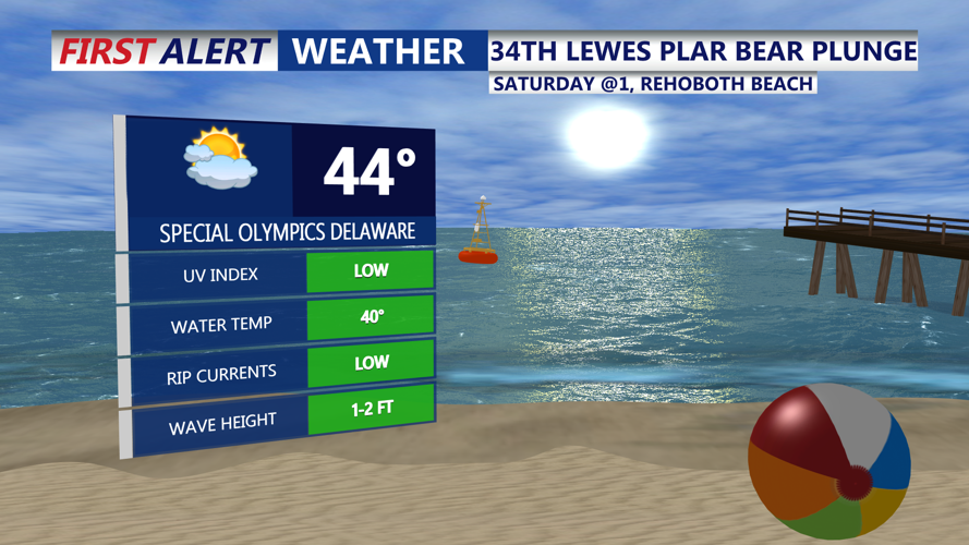 POLAR PLUNGE FORECAST