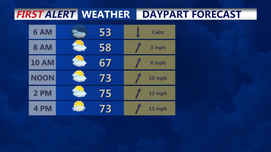 DAYPART FORECAST