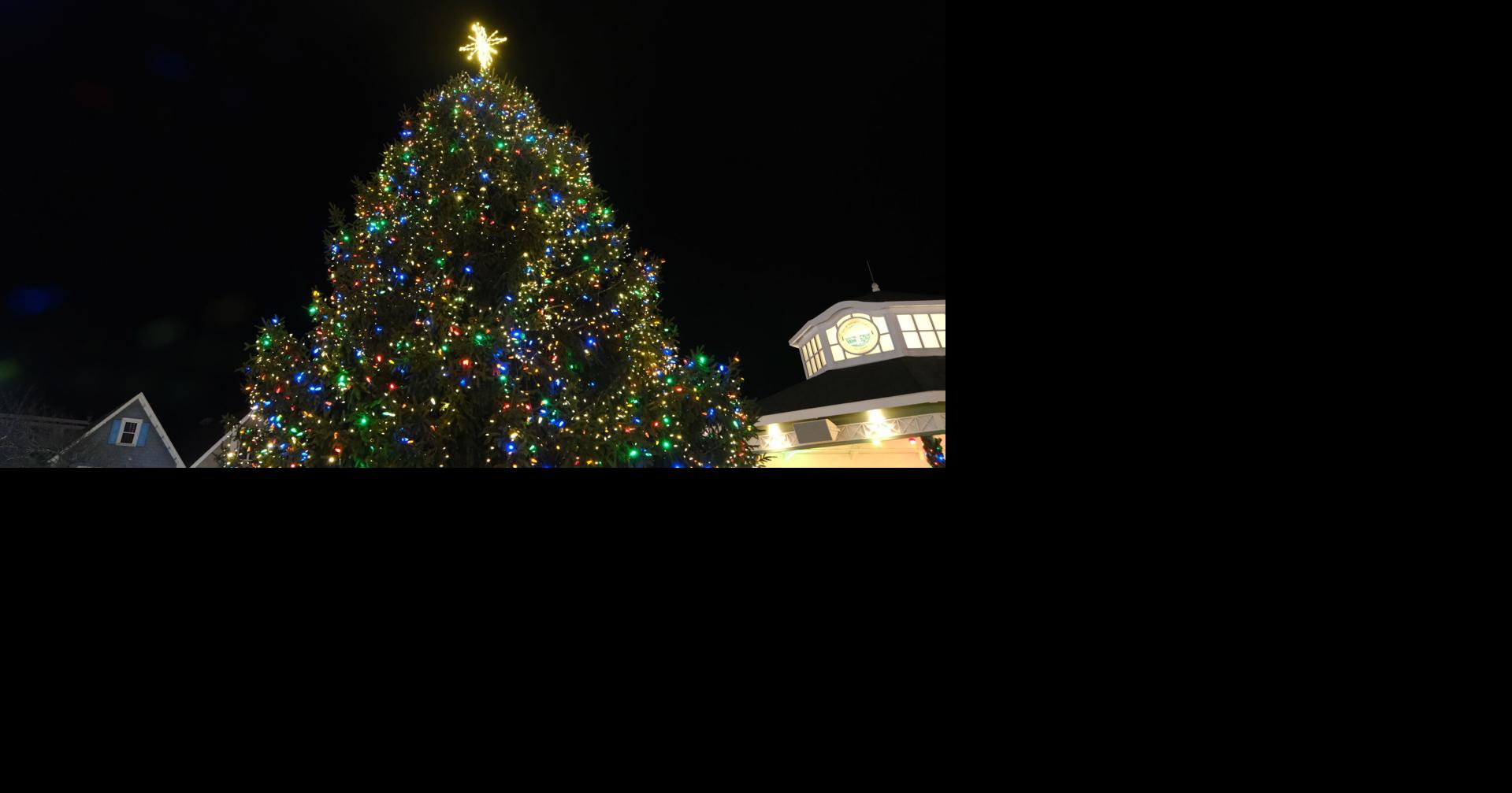 Rehoboth beach christmas tree lighting 2025