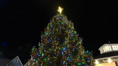 Rehoboth Beach Christmas Tree