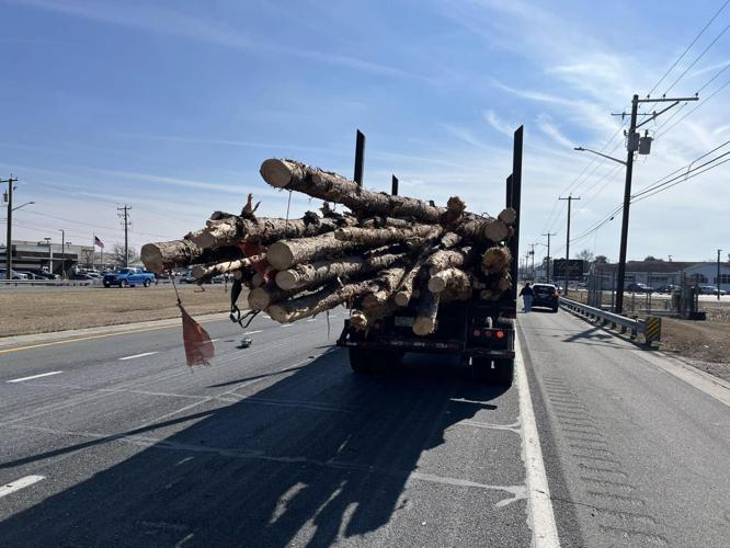 Selbyville Route 113 crash