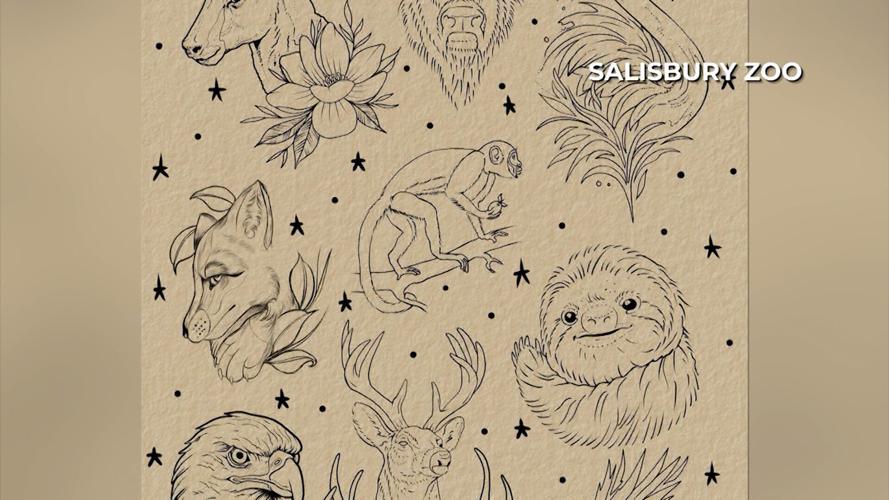 zoo tattoos