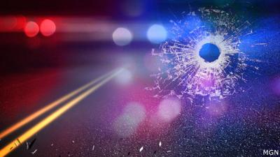 Police Car Shooting