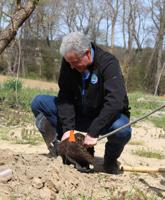 Tree for Every Delawarean Initiative seeks funding proposals