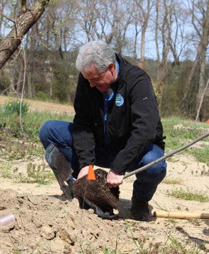 Tree for Every Delawarean Initiative