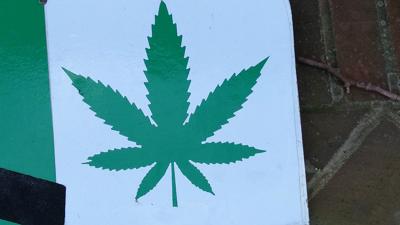 Marijuana bill