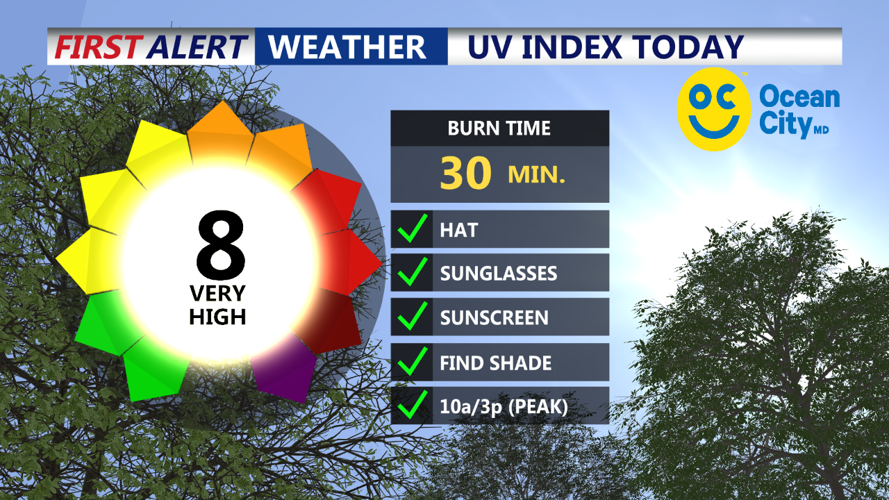 UV Index