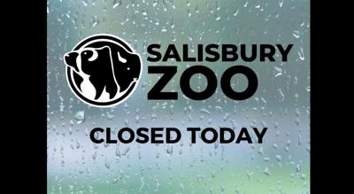 zoo closed due to flooding