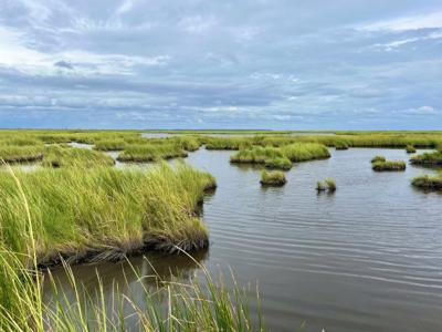 Maryland awards $4.5 million for Eastern Shore Living Shoreline projects