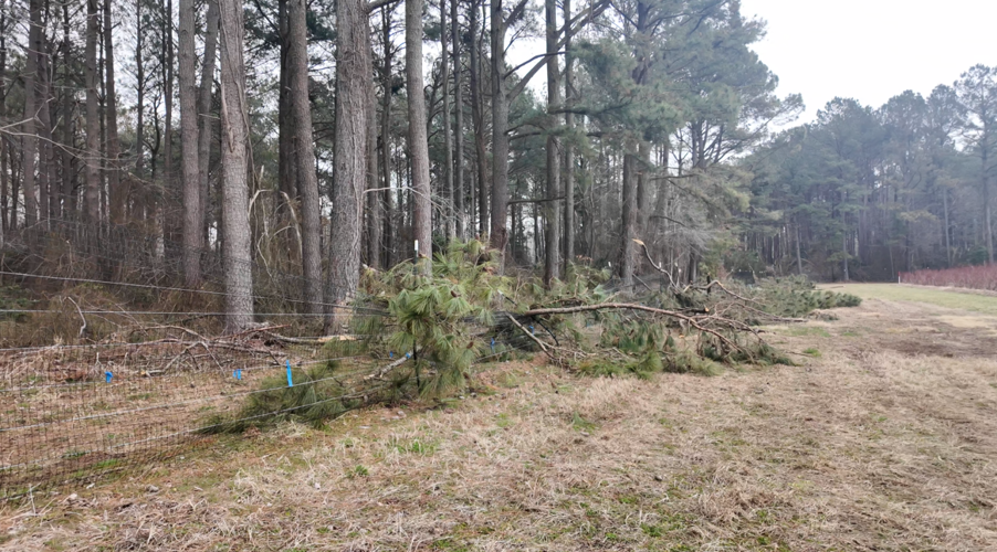 The storm destroyed multiple sections of fencing.