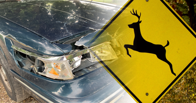 Deer crossing sign