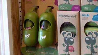 Rehoboth Beach Proposes Fines for Pet-waste Violations