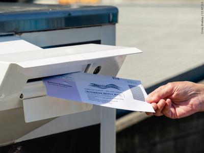 mail in voting
