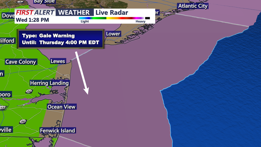 GALE WIND WARNING - SUSSEX
