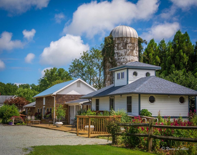 Lavender Fields events