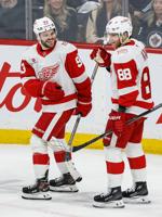 Red Wings Jets Hockey