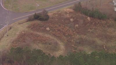 Ocean View Apartments Limited with County Council Change