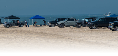 Surf Fishing