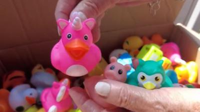 duck race