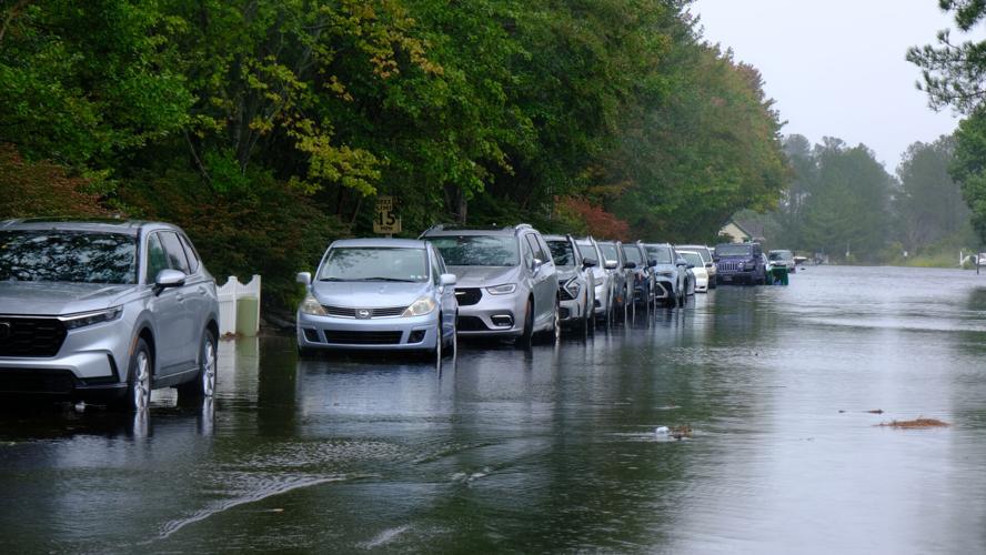 A row of cars parked on the edge of a road under a group of trees. The cars sit in water that has flooded the road.