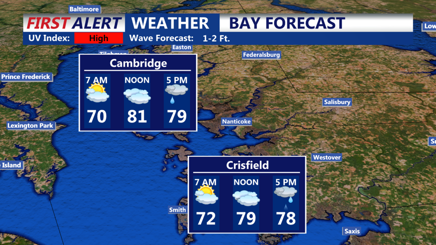 Bay forecast