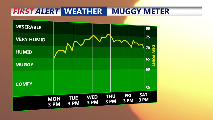MUGGY METER
