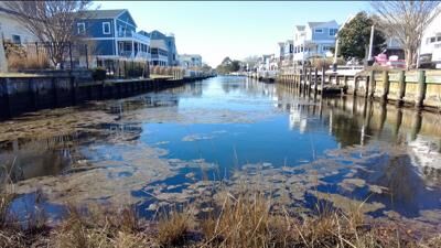 SOUTH BETHANY CANAL