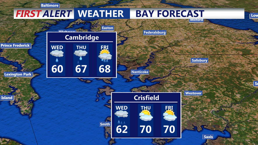 BAY FORECAST