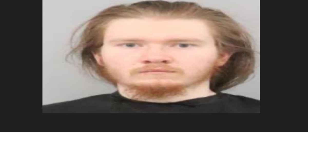 20-year-old Richland County man faces eight counts of sexual ...
