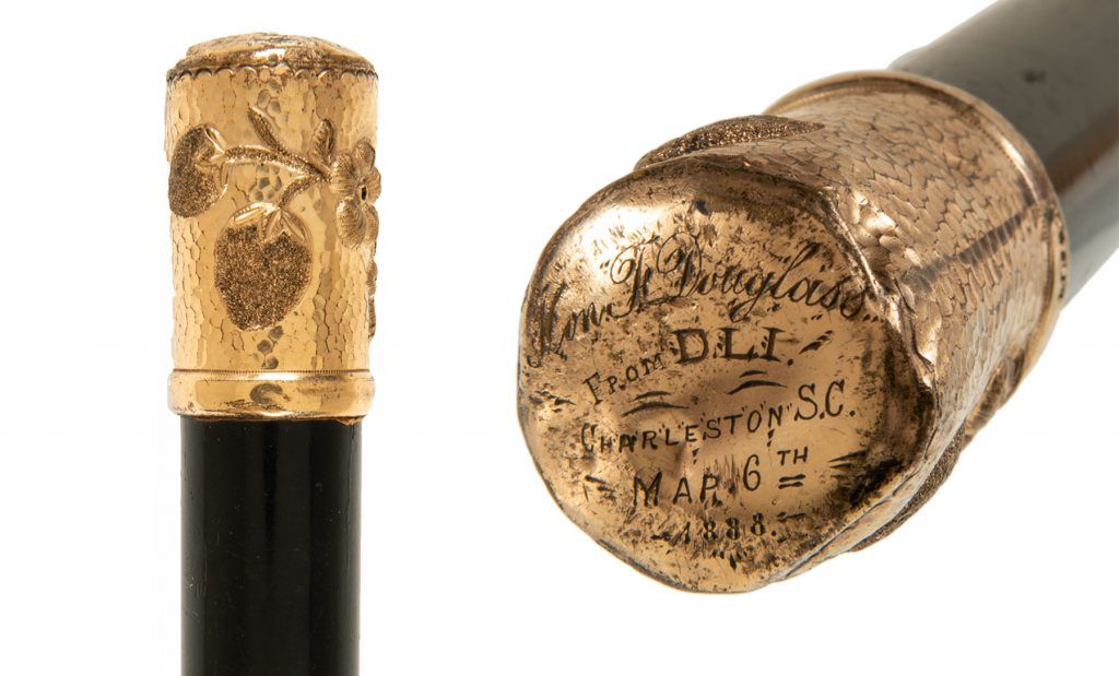 columbia walking stick