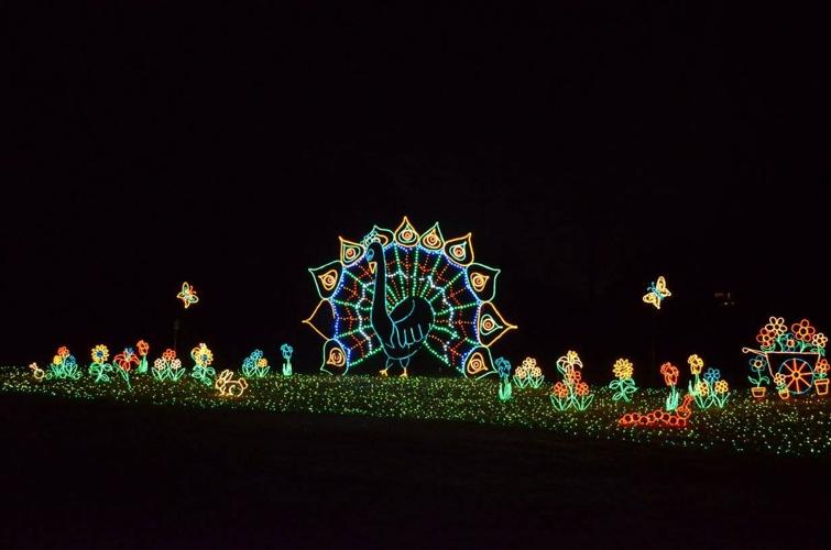 Saluda Shoals Holiday Lights on the River returns with new displays