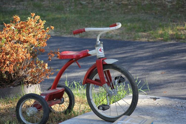 The Big Flea brings treasure hunters to Earlewood Columbia