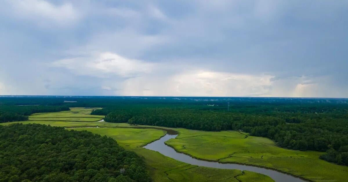 Palmetto Trail to celebrate Earth Month with hikes and bird walks