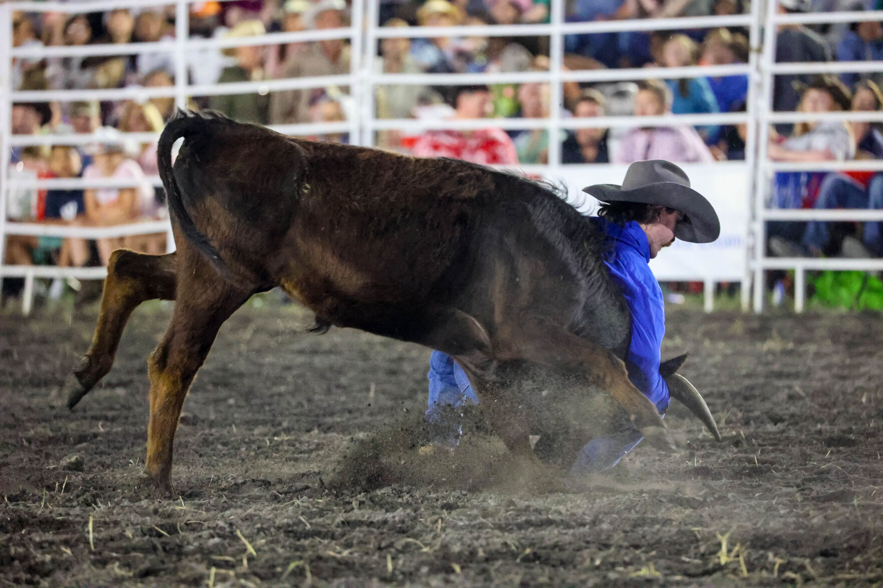 Photo Gallery: Doko Championship Rodeo Rides Into Blythewood Attracting ...